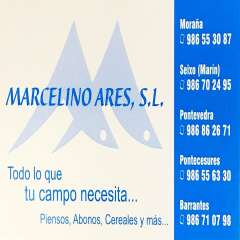A_3394_M_3447_3437_MARCELINO ARES.jpg